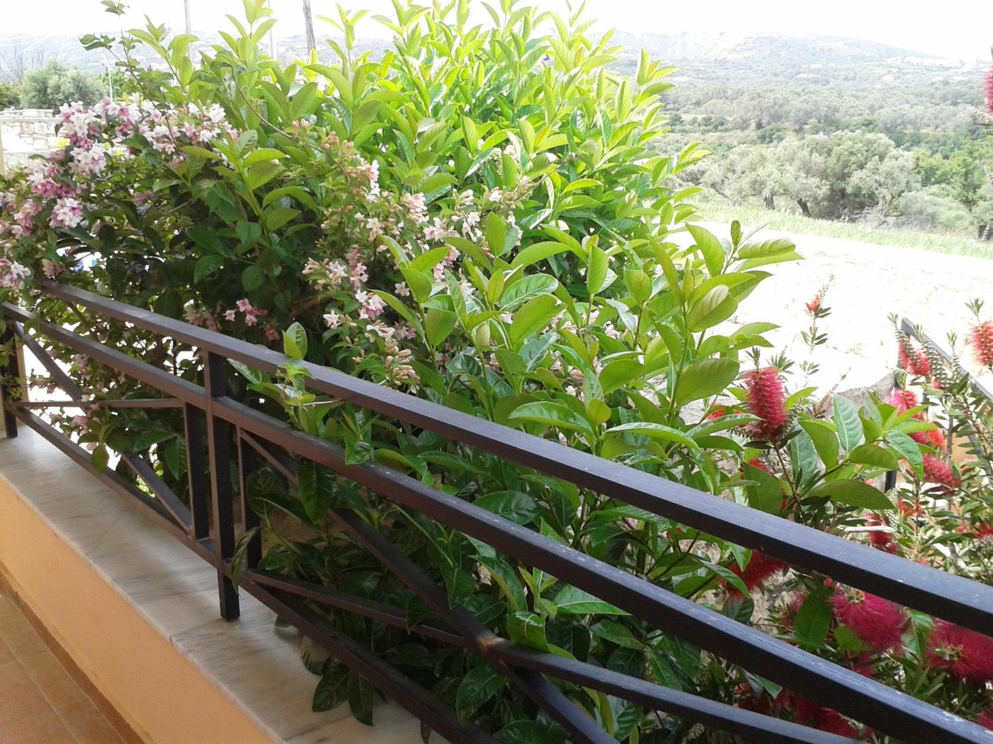 Helidonia Villas Pigí Kamer foto